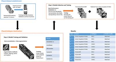 Automated Classification of Papillary Renal Cell Carcinoma and Chromophobe Renal Cell Carcinoma Based on a Small Computed Tomography Imaging Dataset Using Deep Learning